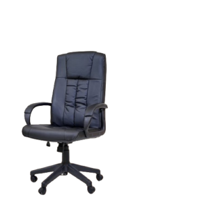 Chaise de direction New Elepsy